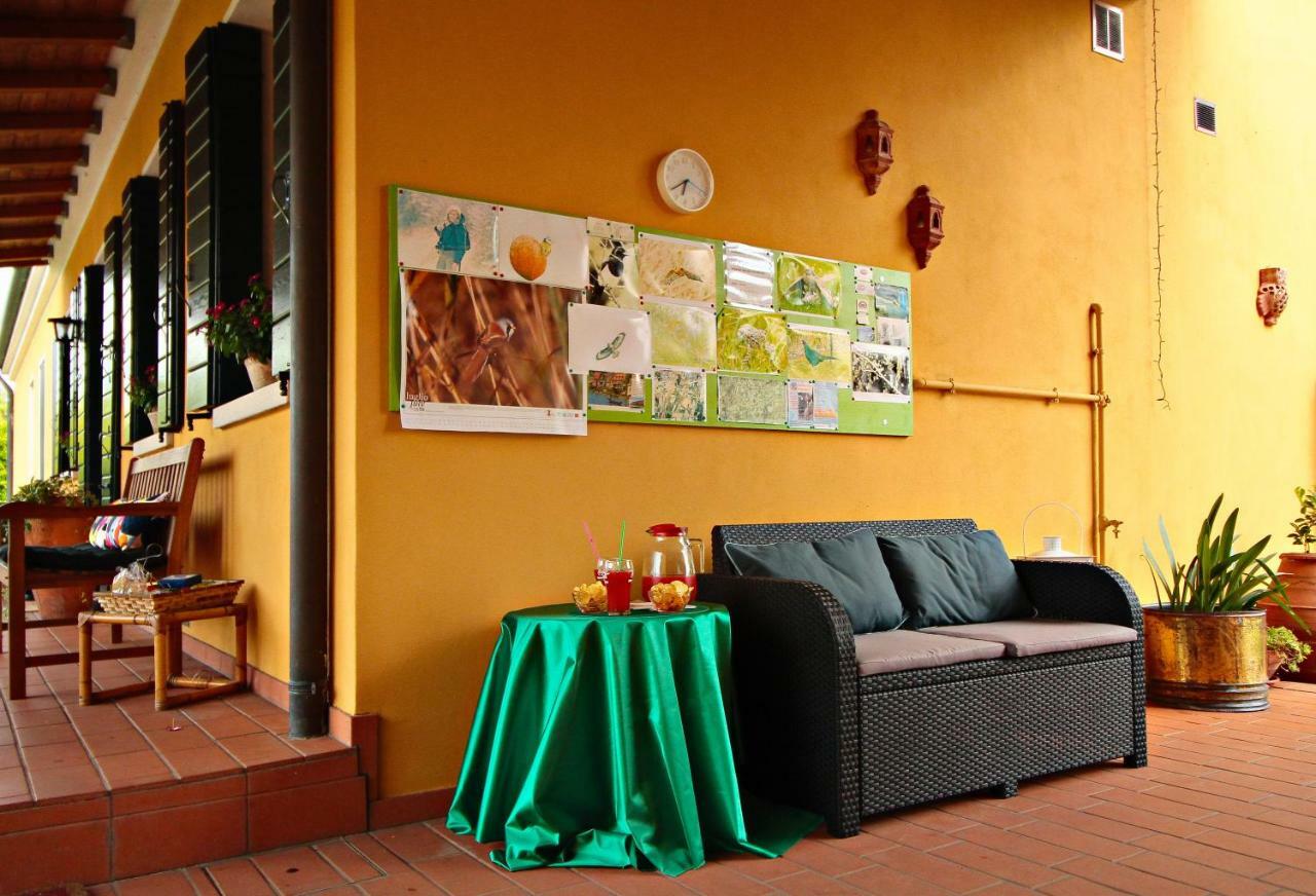 Ca' Leone - Regina Vittoria - Apartment With Pool Mira Exterior foto